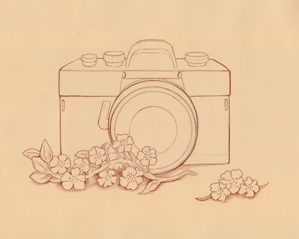 Hatching on the twig